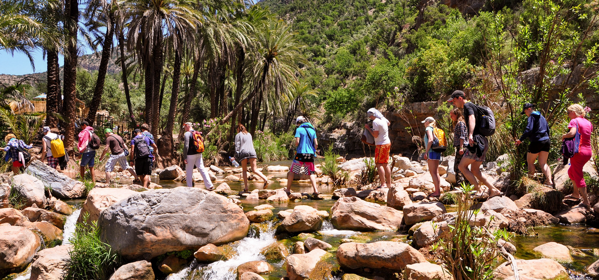 An Unforgettable Journey to Paradise Valley: A Day of Discovery!