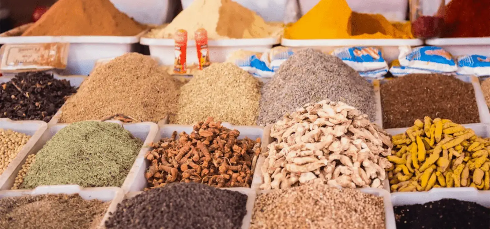 Souk Al Had Agadir : Au Cœur du Marché le Plus Authentique du Maroc